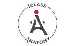 ورکشاپ آناتومی بدن دبی (Iclass Anatomy)